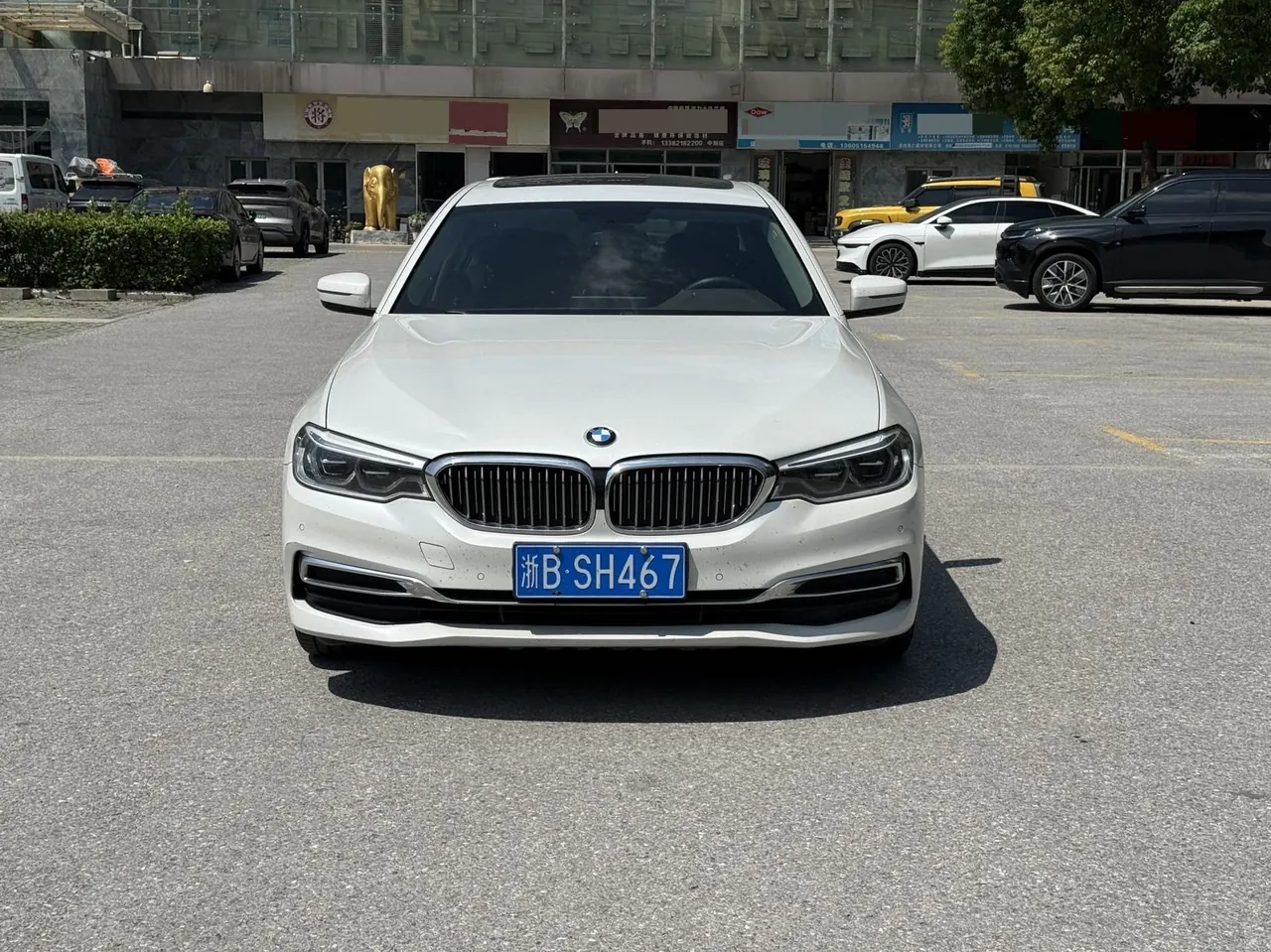 BMW 5 Series 2020 530Li 2.0T Leading Luxury Suit Automatic Gear 2