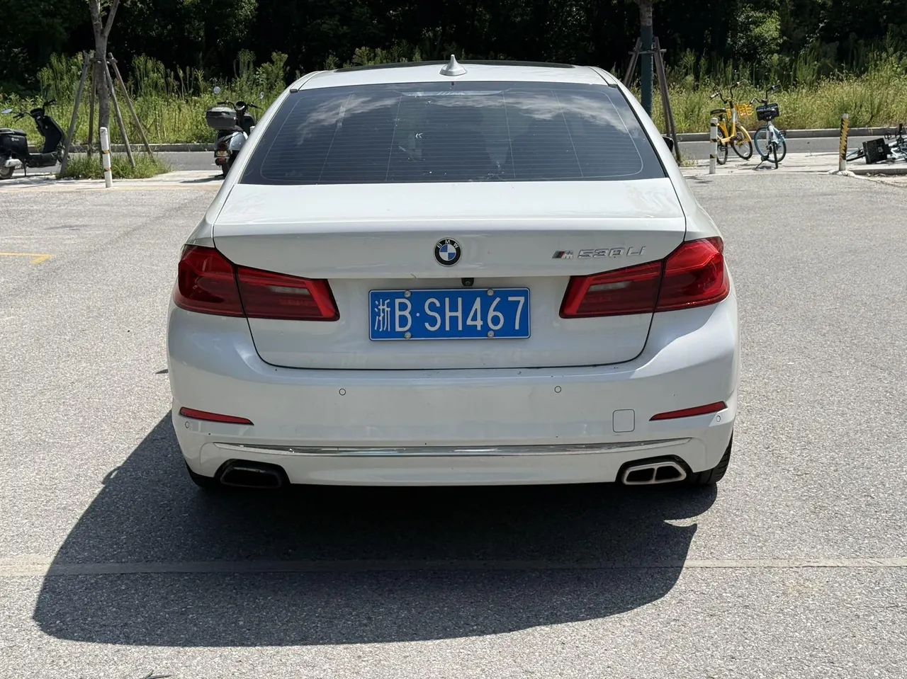 BMW 5 Series 2020 530Li 2.0T Leading Luxury Suit Automatic Gear 7