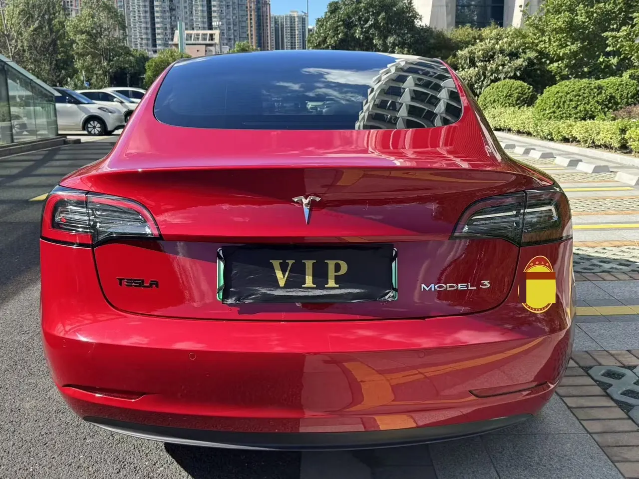 Tesla 2021 Model 3 Standard Endurance Rear Drive Upgraded Automatic Gear 6