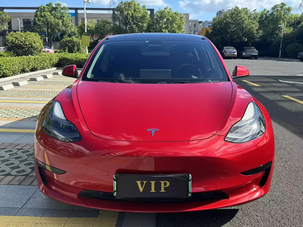 Tesla 2021 Model 3 Standard Endurance Rear Drive Upgraded Automatic Gear 7