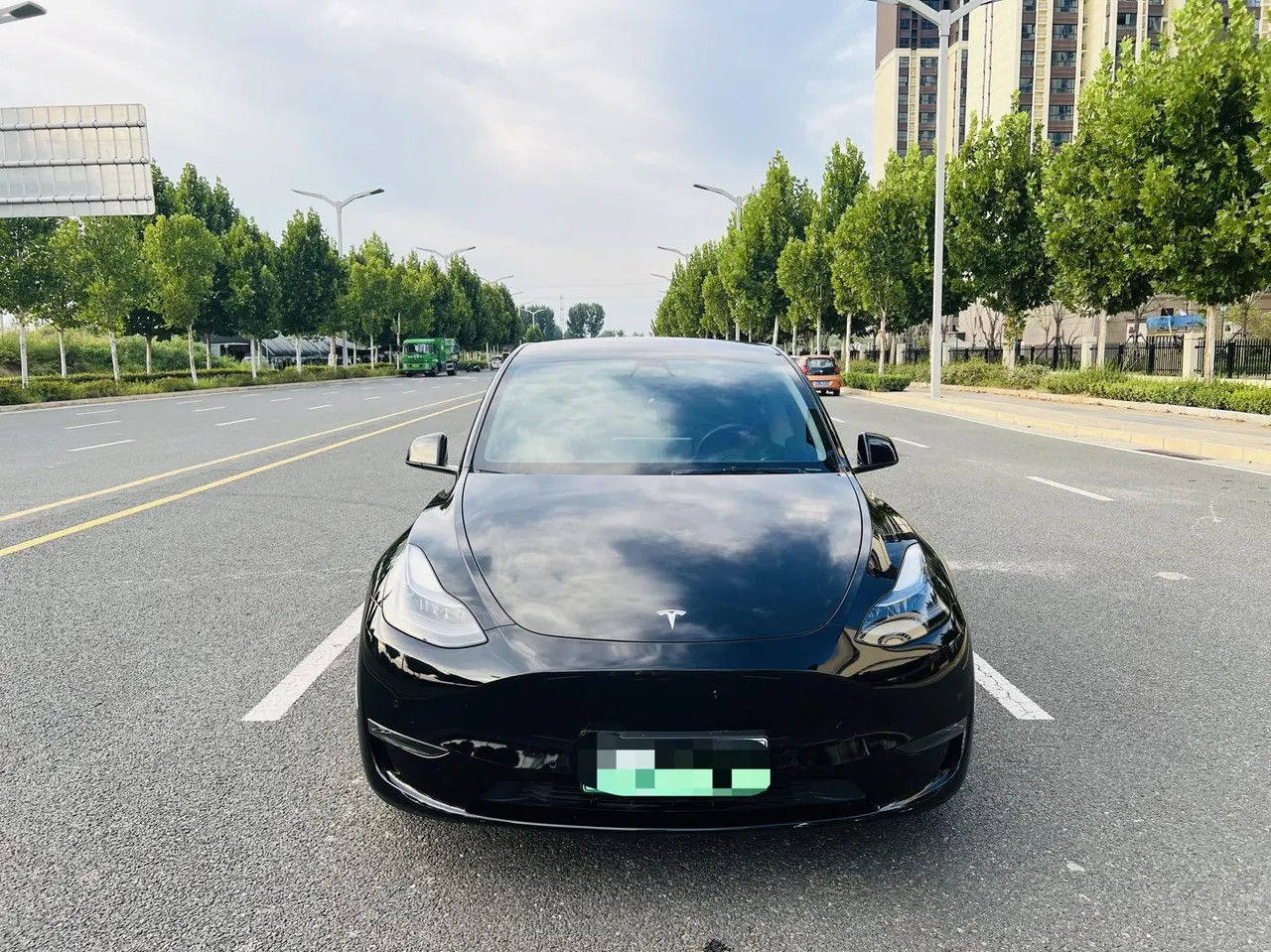 Tesla 2021 Model Y Standard Endurance Rear Drive Automatic Gear 2