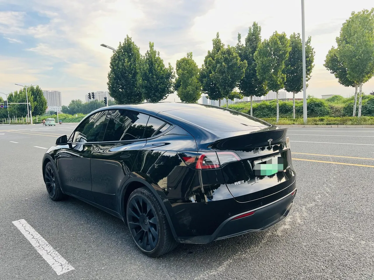Tesla 2021 Model Y Standard Endurance Rear Drive Automatic Gear 7