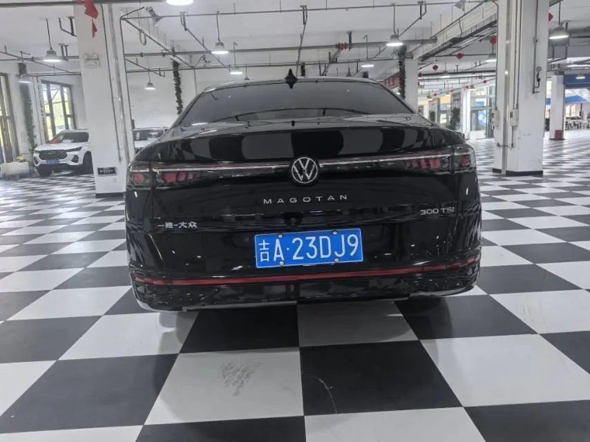 Volkswagen 2024 Magotan 1.5TSI 300TSI Premium Edition Eye Bag Automatic Block 5