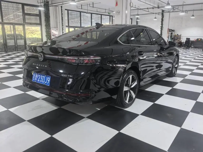 Volkswagen 2024 Magotan 1.5TSI 300TSI Premium Edition Eye Bag Automatic Block 6