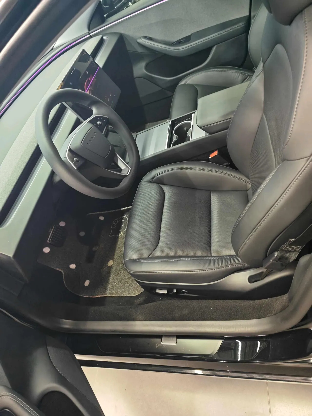 Tesla 2023 Model 3 Rejuvenation Edition Rear Wheel Drive Automatic Transmission 2