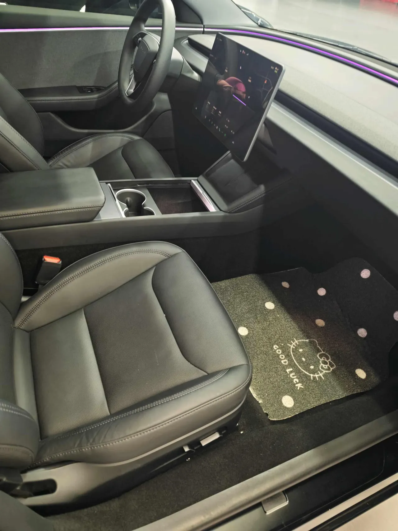Tesla 2023 Model 3 Rejuvenation Edition Rear Wheel Drive Automatic Transmission 6