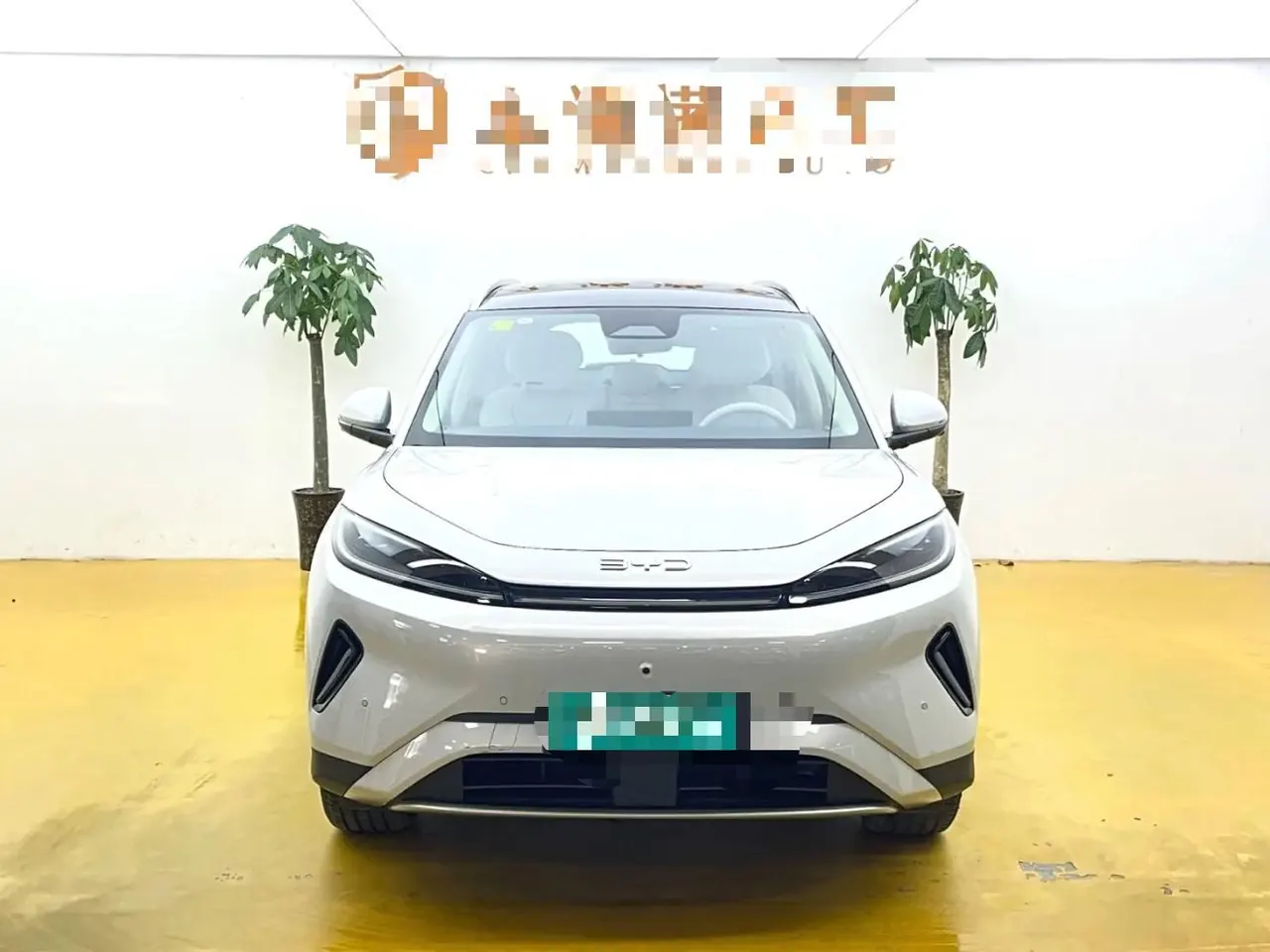BYD 2026 Sea Lion 05 EV 540 Zhihang Edition Automatic Gear 2