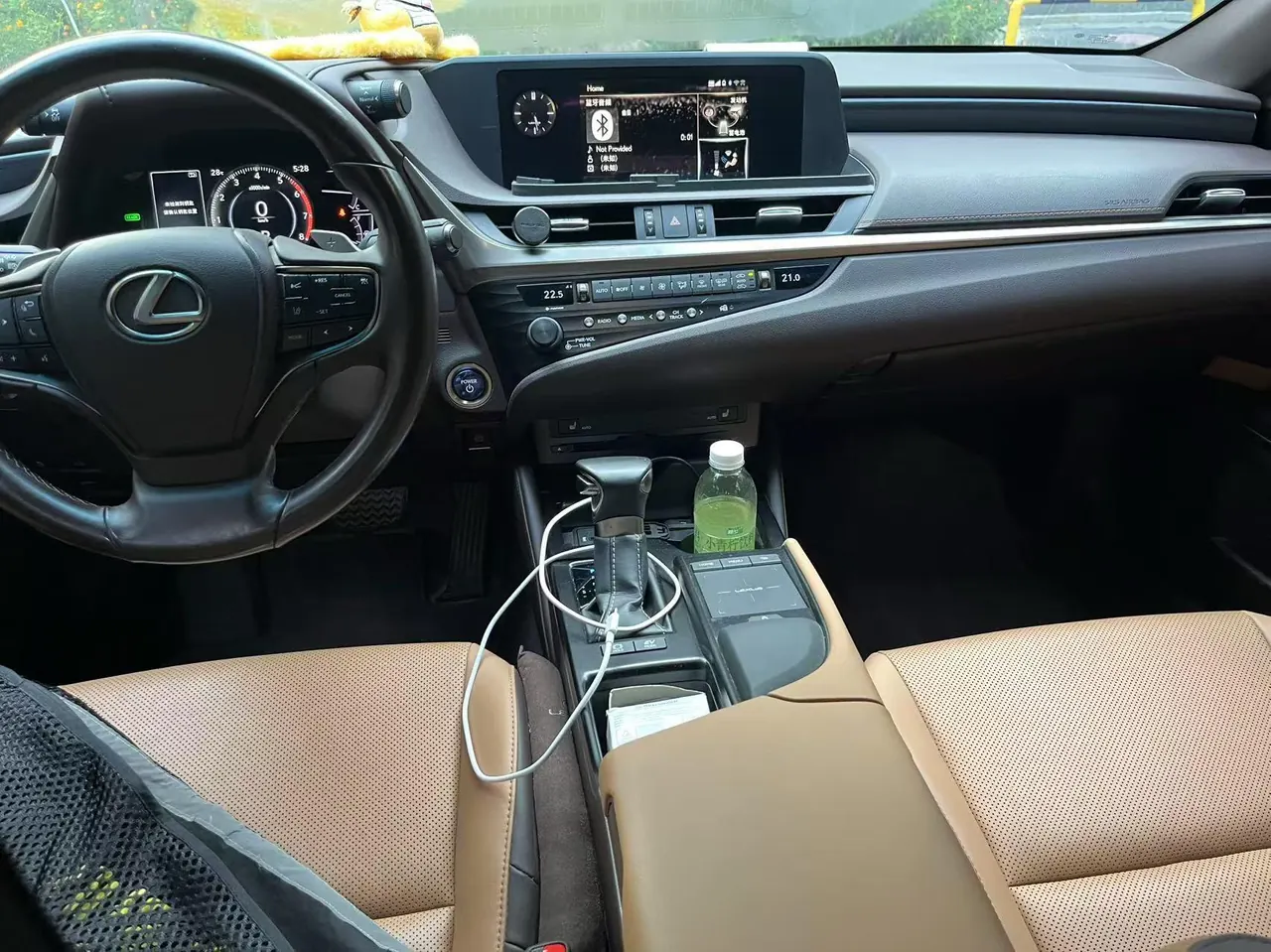 Lexus ES (Imported) 2020 ES300h 2.5 Stepless Excellence Edition Automatic Gear 7