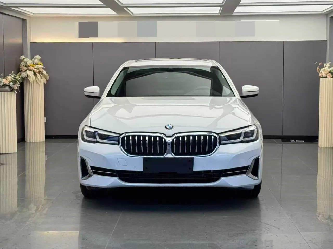 BMW 5 Series 2022 530Li 2.0T Leading M Sports Suit (Change 2) Automatic Gear 2