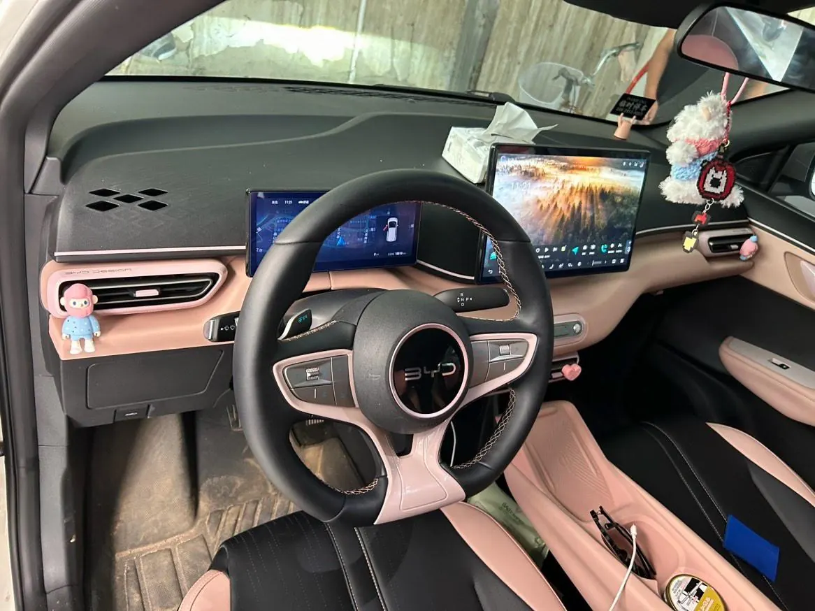 BYD 2025 Seagull Smart Driving Edition 405km Flying Edition Automatic Gear 3