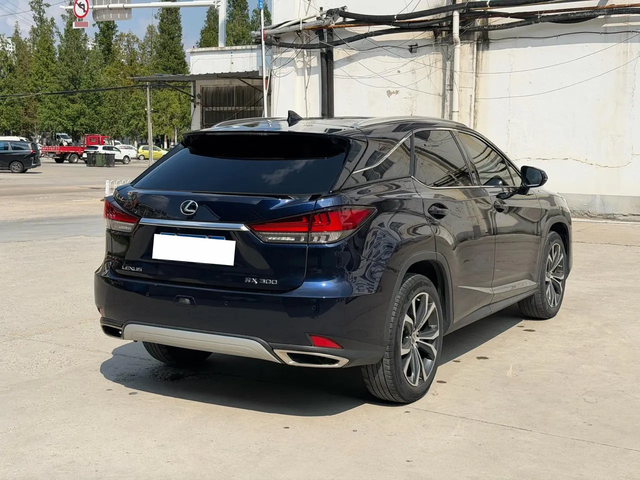 Lexus RX (Imported) 2020 RX300 2.0T Four-wheel Drive Elegant Automatic Gear 5
