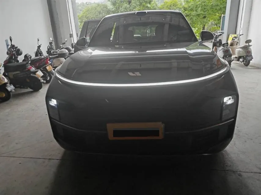 Li 2025 L8 Pro Intelligent Rejuvenation Automatic Gear 2