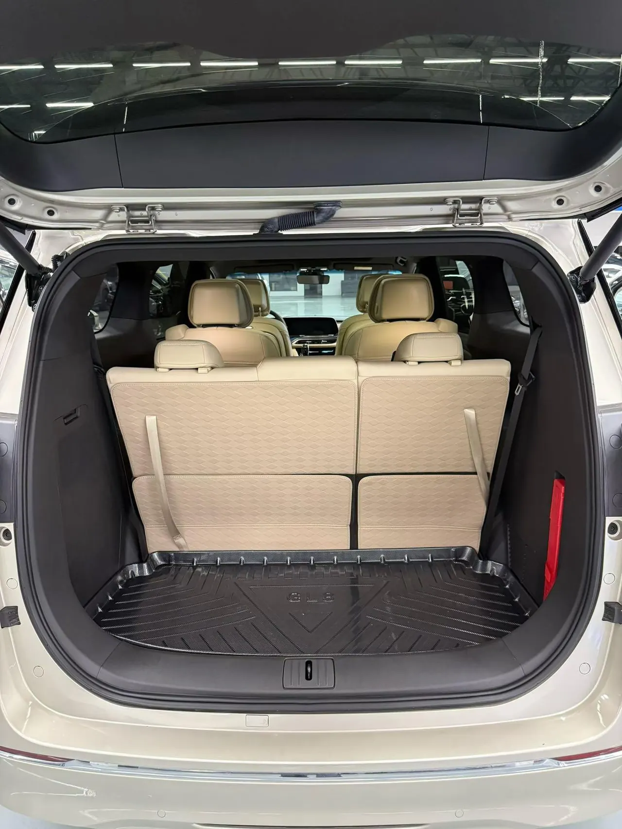 Buick 2022 GL8 ES Lu Zun 48V 2.0T 653T Luxury Automatic Gear 5