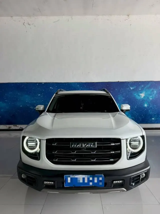 Haval 2020 big dog 1.5T Labrador version automatic gear 2