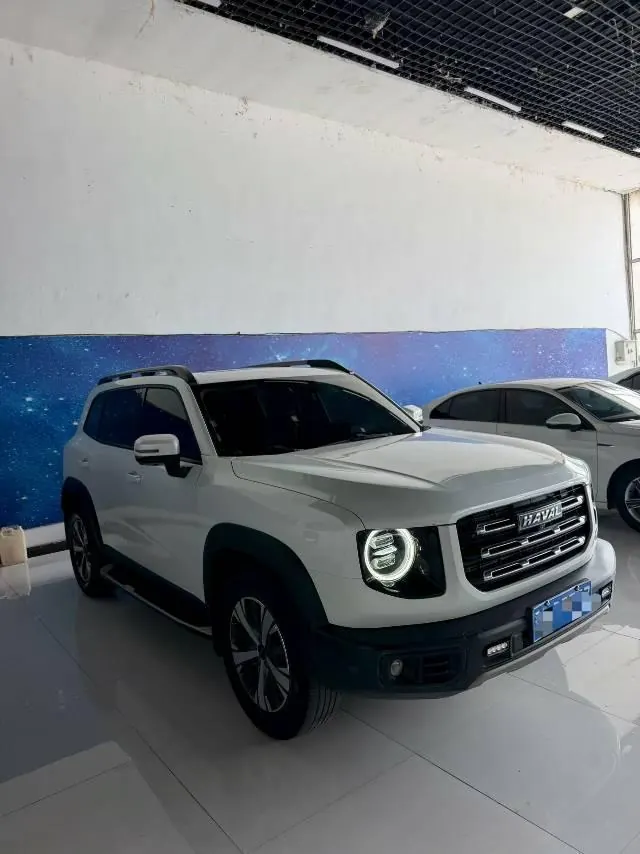Haval 2020 big dog 1.5T Labrador version automatic gear 3