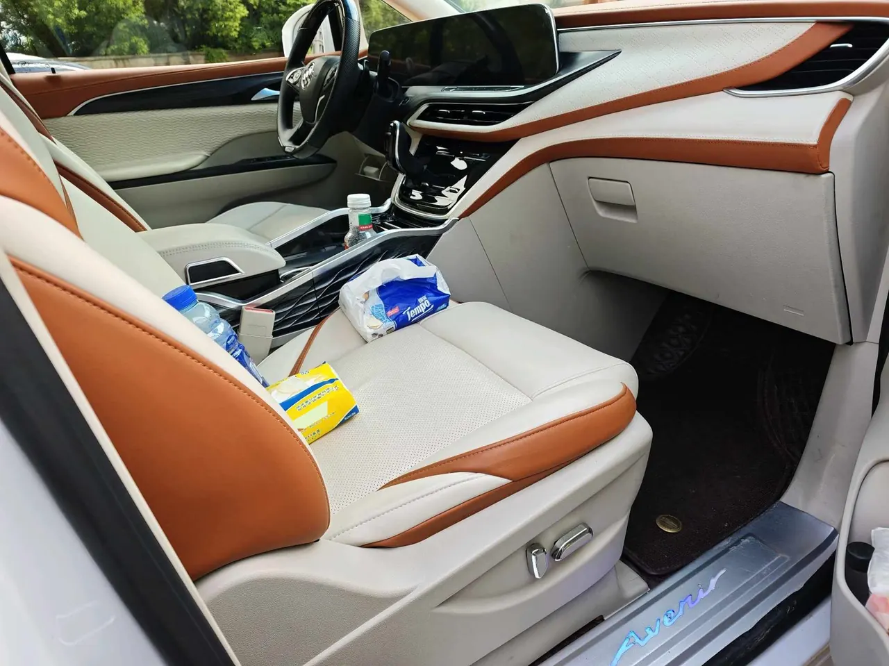Buick 2021 GL8 ES Lu Zun 2.0T 653T Exclusive Automatic Gear 13