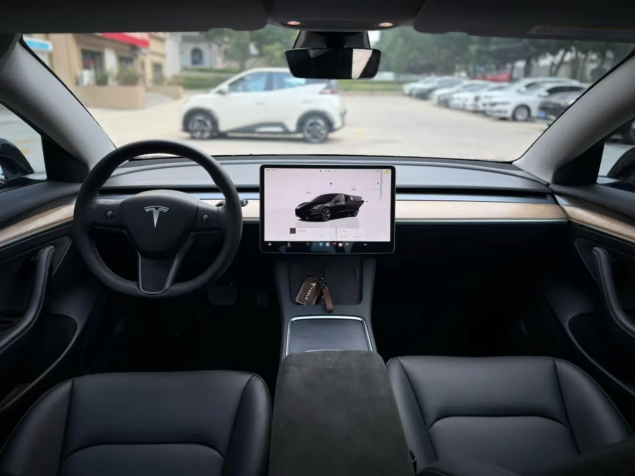 Tesla 2021 Model 3 Standard Endurance Rear Drive Upgraded Automatic Gear 6