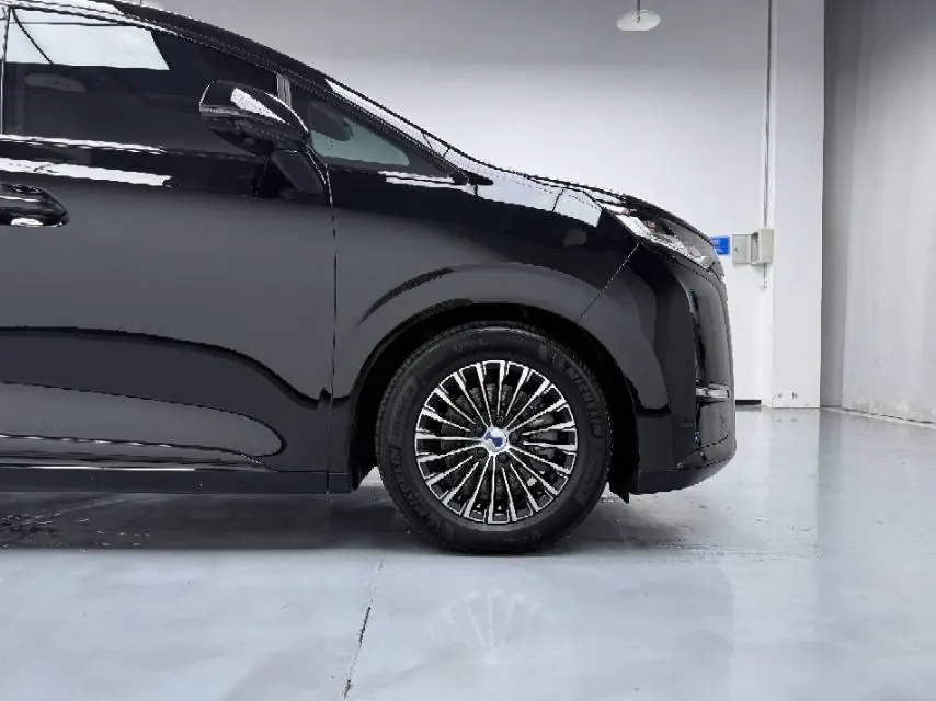 Denza 2024 Denza D9 DM-i 1.5T stepless 980 four-wheel drive distinguished automatic gear 4
