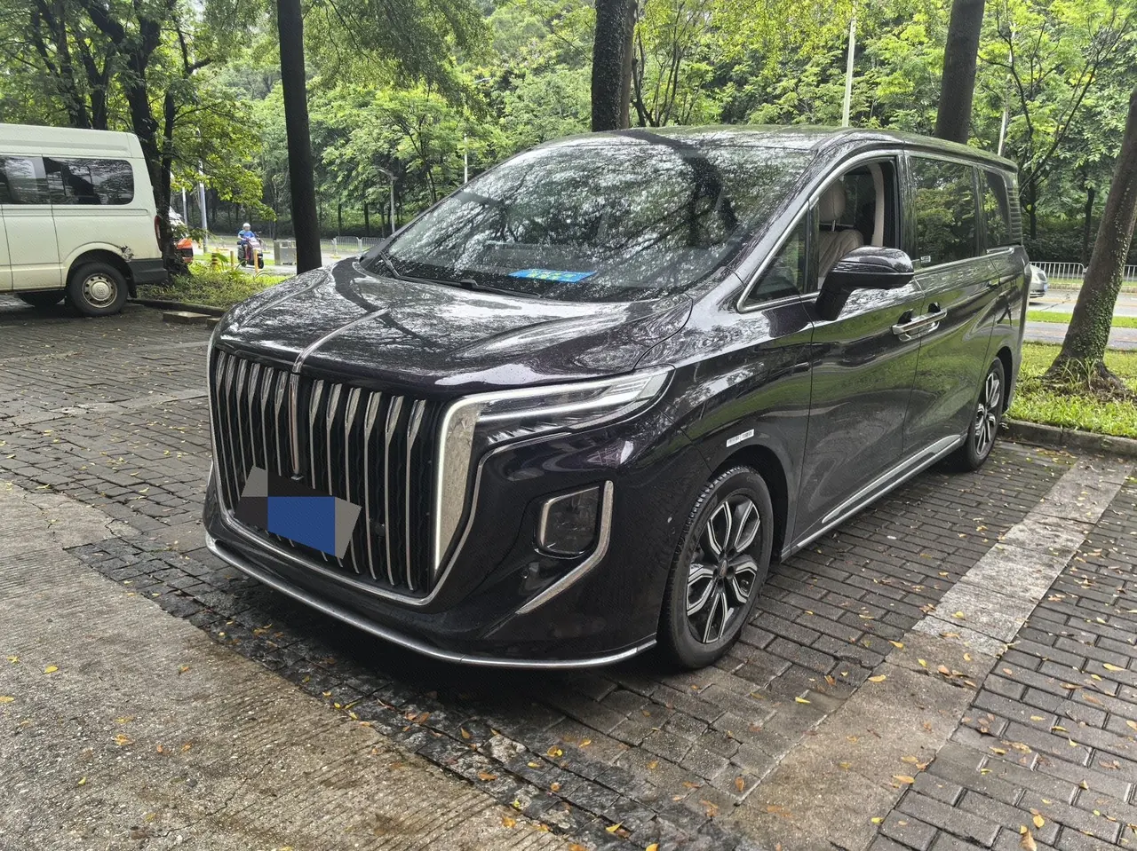 HongQi 2023 HQ9 48V 2.0T Zhilian Flag Collar Edition Automatic Gear - View 1
