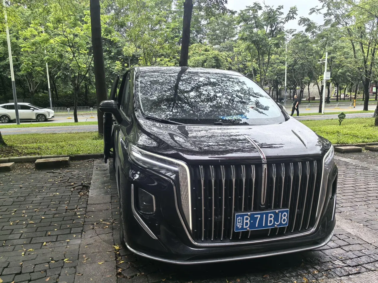 HongQi 2023 HQ9 48V 2.0T Zhilian Flag Collar Edition Automatic Gear 2