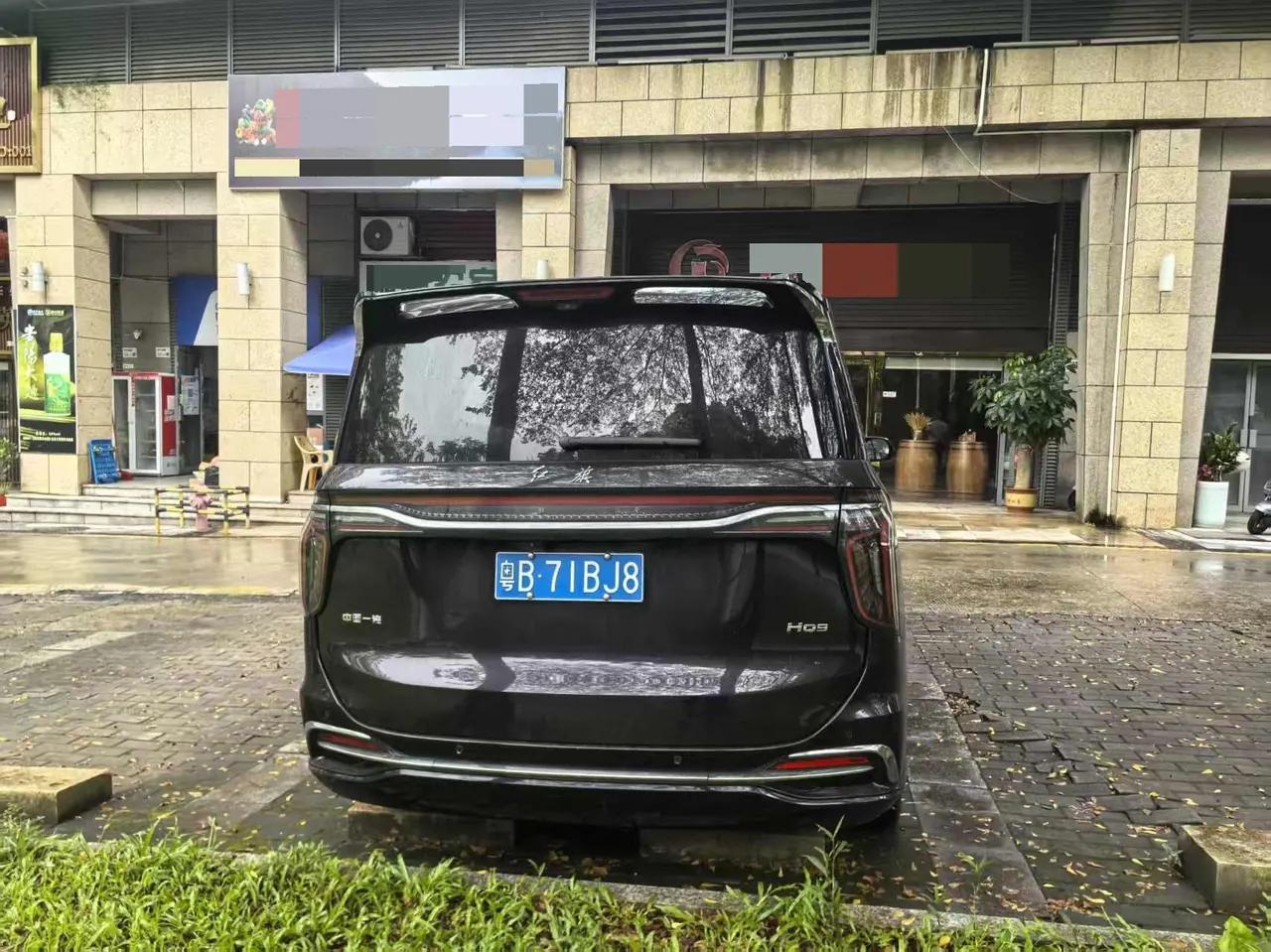 HongQi 2023 HQ9 48V 2.0T Zhilian Flag Collar Edition Automatic Gear 6