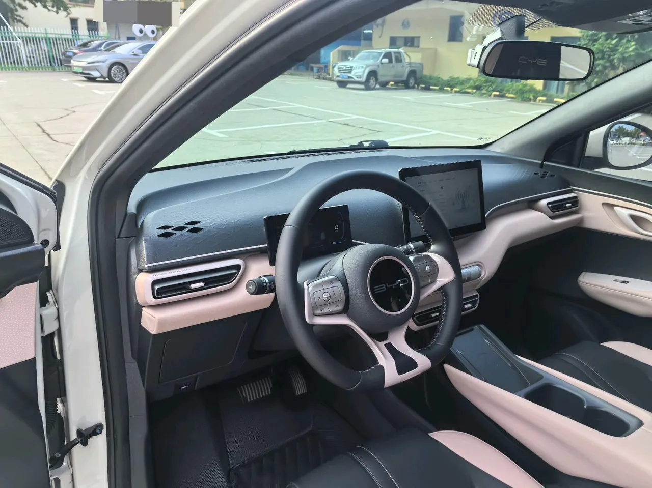 BYD 2023 seagull flying version automatic gear 12