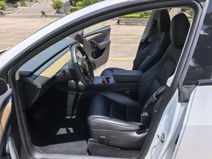 Tesla 2022 Model Y rear-wheel drive version (facelift) automatic gear 10