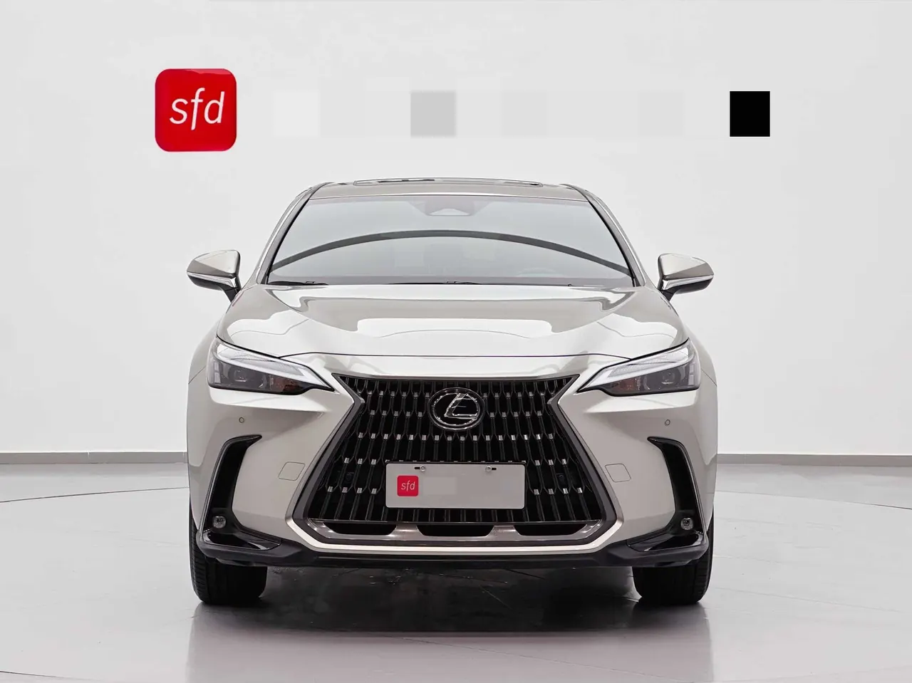 Lexus NX (Imported) 2022 NX260 2.5 Chuangchi Edition Automatic Gear 2