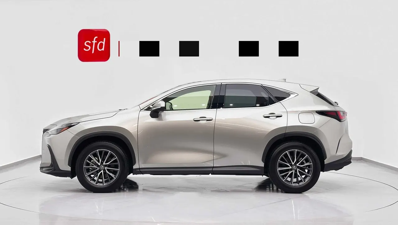 Lexus NX (Imported) 2022 NX260 2.5 Chuangchi Edition Automatic Gear 4