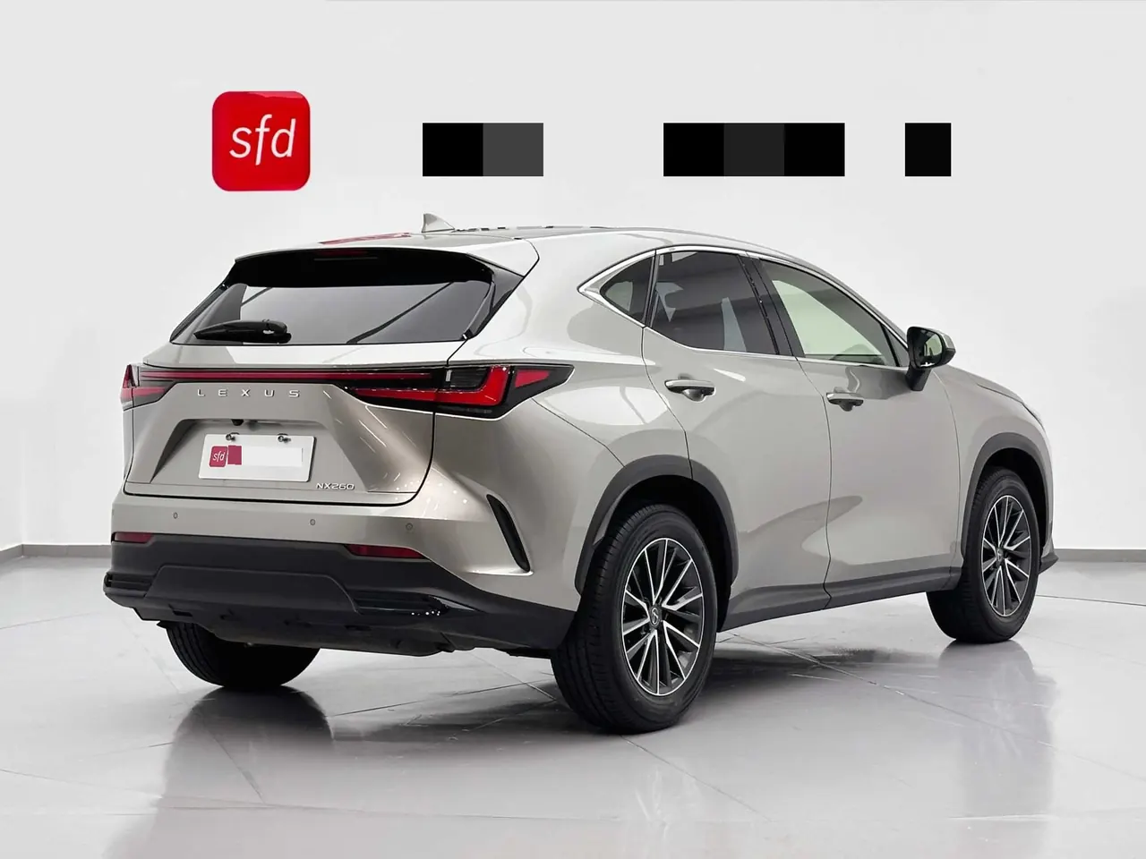 Lexus NX (Imported) 2022 NX260 2.5 Chuangchi Edition Automatic Gear 6