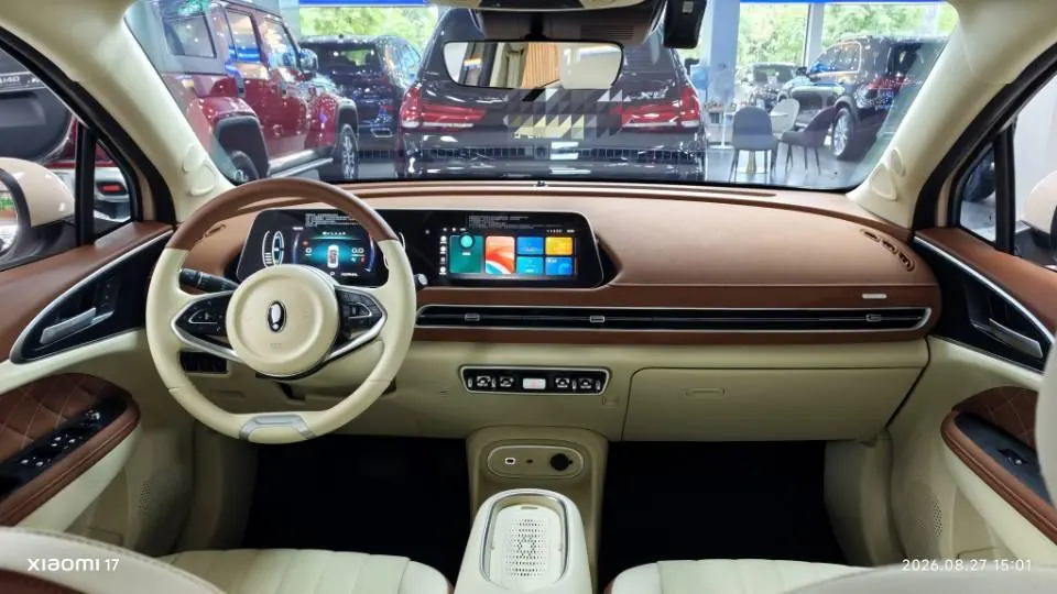 Ora 2023 Good Cat 401km Standard Endurance Luxury Lithium Iron Phosphate Automatic Gear 4