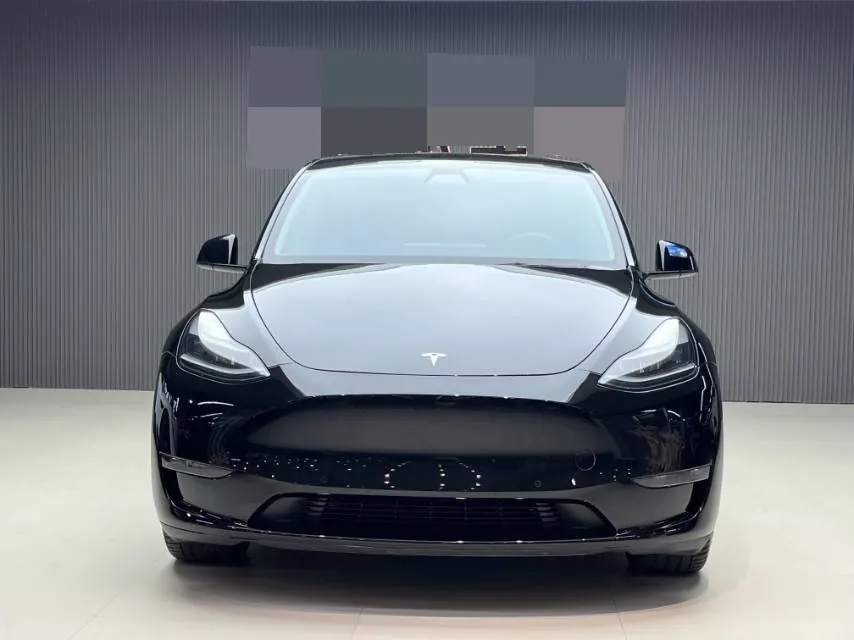 Tesla 2021 Model Y Standard Endurance Rear Drive Automatic Gear 2