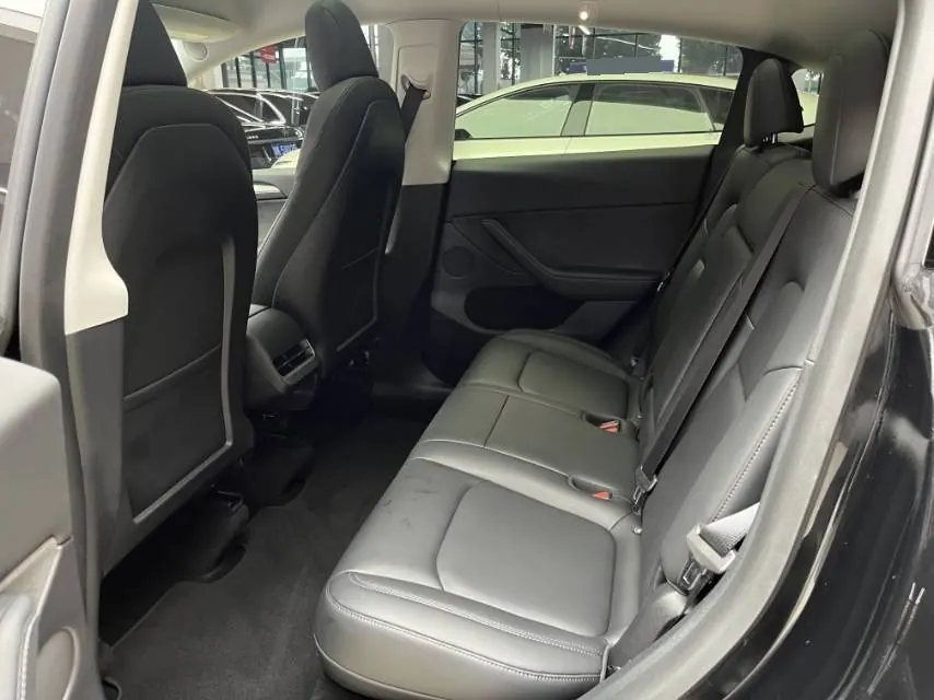 Tesla 2021 Model Y Standard Endurance Rear Drive Automatic Gear 3