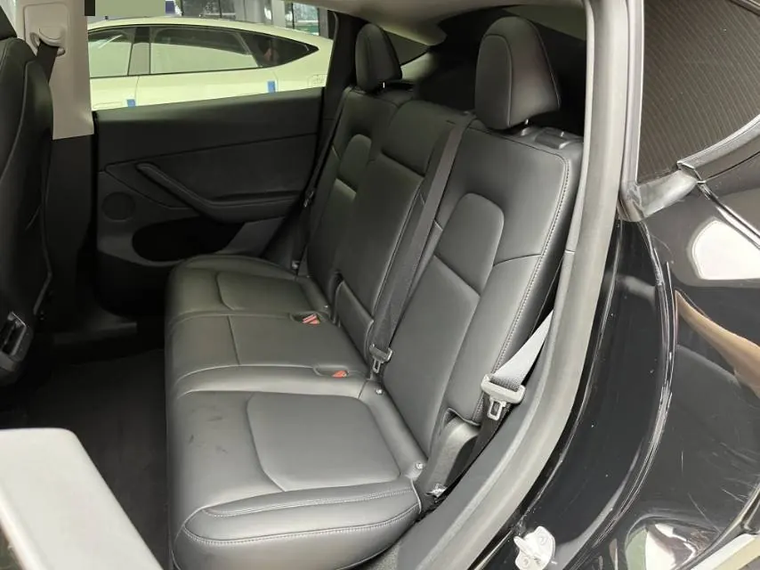 Tesla 2021 Model Y Standard Endurance Rear Drive Automatic Gear 6