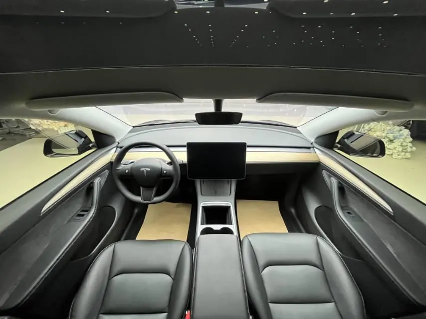 Tesla 2021 Model Y Standard Endurance Rear Drive Automatic Gear 7