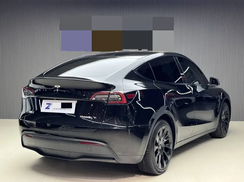 Tesla 2021 Model Y Standard Endurance Rear Drive Automatic Gear 8