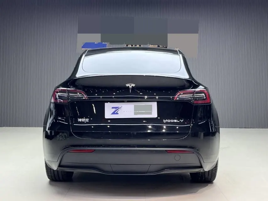 Tesla 2021 Model Y Standard Endurance Rear Drive Automatic Gear 9