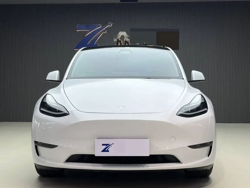 Tesla 2021 Model Y long endurance all-wheel drive version automatic transmission 2