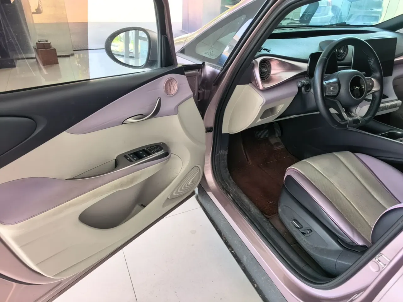 BYD 2023 Dolphins 420km Free Edition Automatic 3