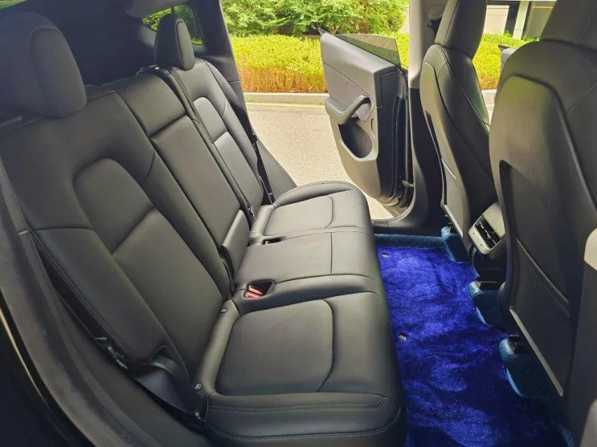 Tesla 2021 Model Y Standard Endurance Rear Drive Automatic Gear 5