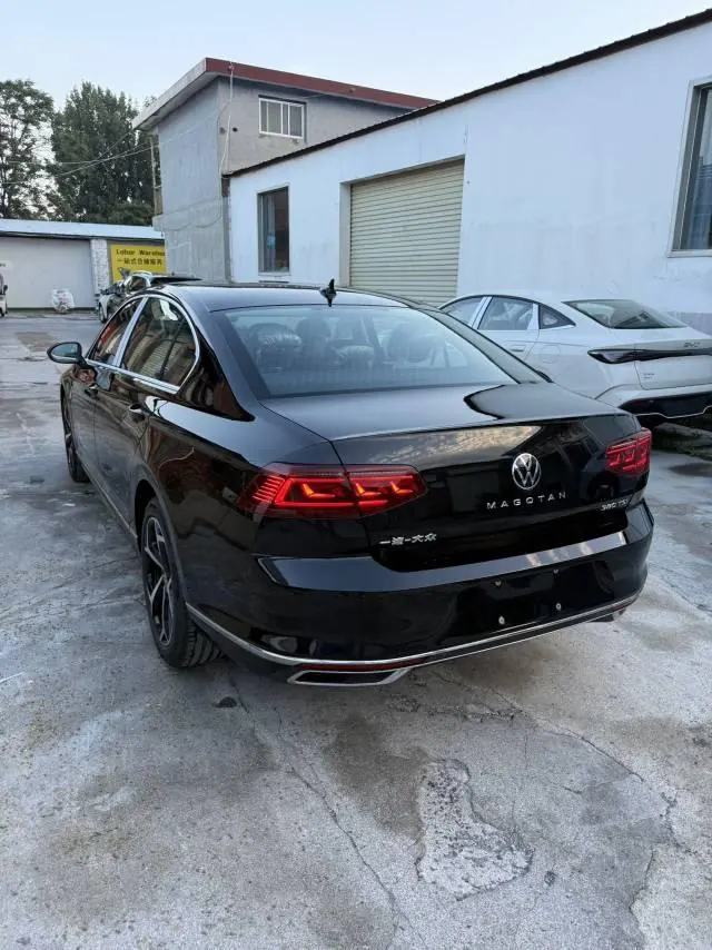Volkswagen 2026 Magotan 2.0TSI 380TSI 30 million selected luxury automatic gear 5