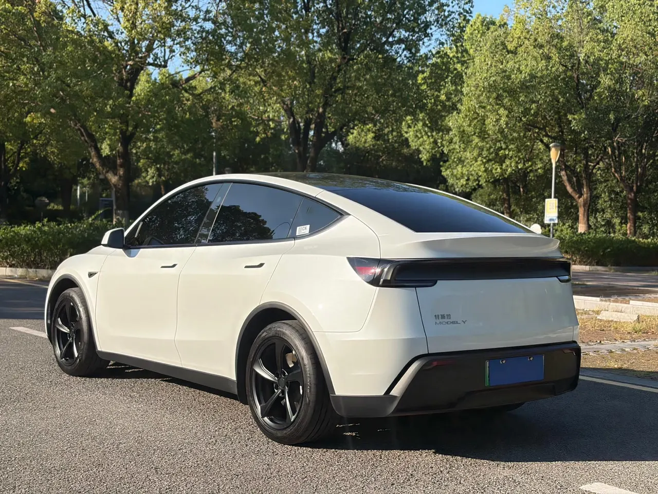 Tesla 2026 Model Y Rear-Wheel-Drive Automatic 8