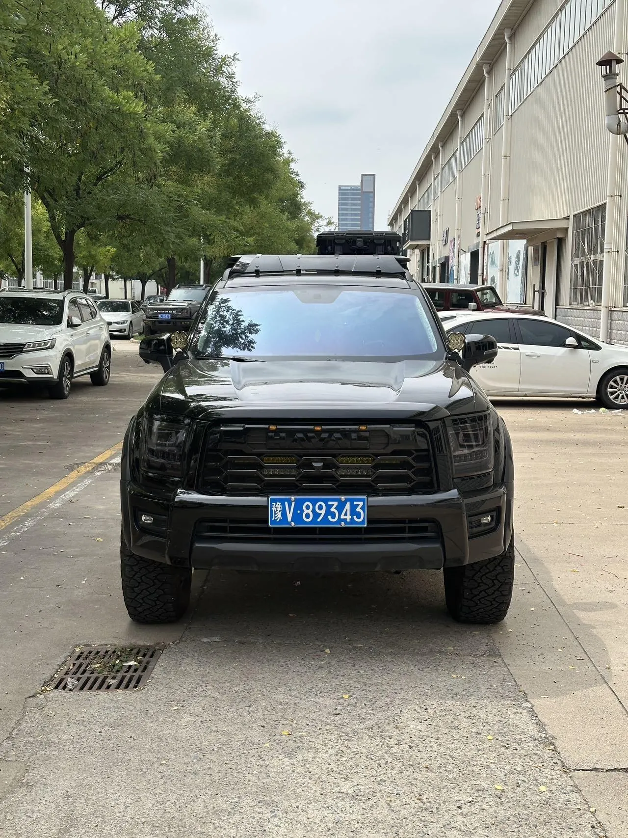 Haval 2025 H5 2.0T 4-wheel drive gasoline lead version automatic gear 2