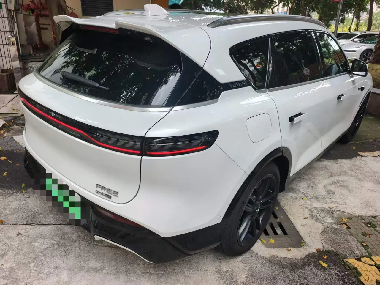 Voyah 2024 FREE Super Long Endurance Smart Driving Edition Automatic Gear 6