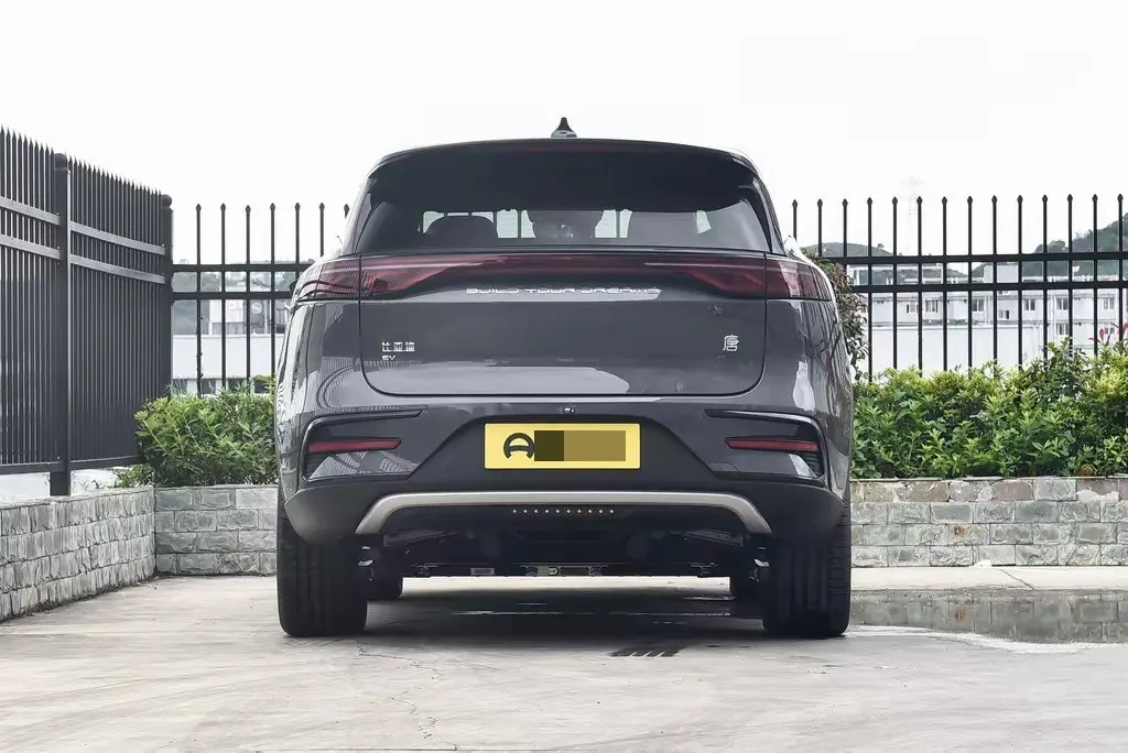 BYD Tang New Energy 2024 Tang EV Champion Edition 730KM Exclusive Automatic Gear 7
