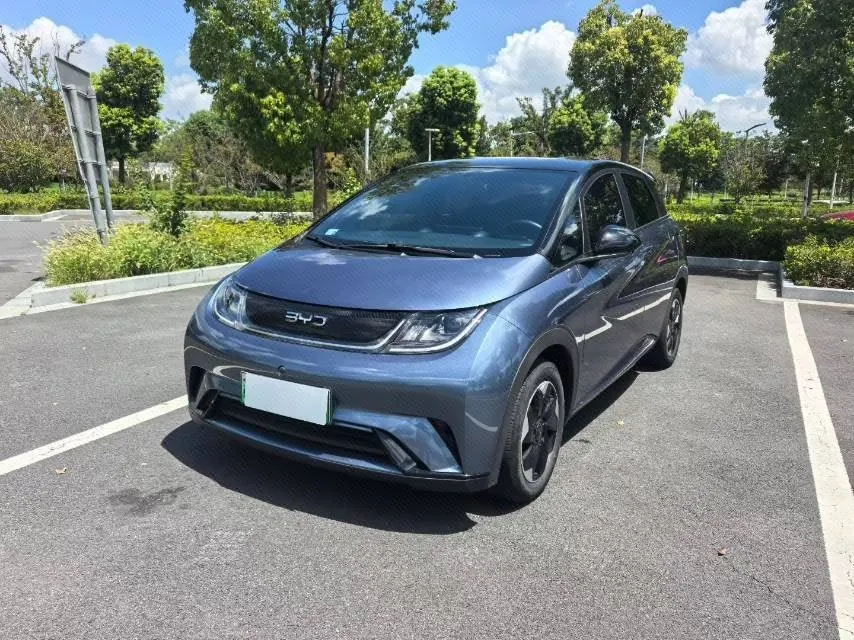 Open image lightbox: BYD 2023 Dolphins 401km Knight Edition Automatic Gear