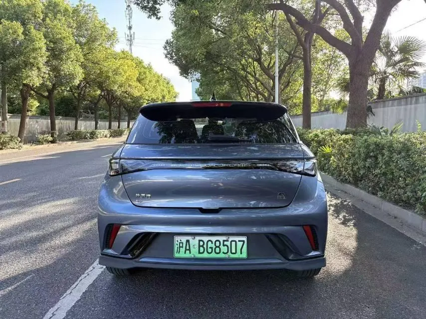 BYD 2023 Dolphins 401km Knight Edition Automatic Gear 5