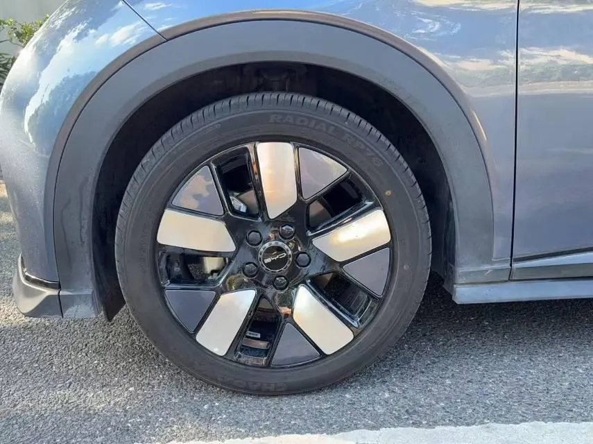 BYD 2023 Dolphins 401km Knight Edition Automatic Gear 6