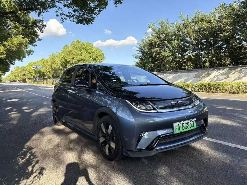 BYD 2023 Dolphins 401km Knight Edition Automatic Gear 9