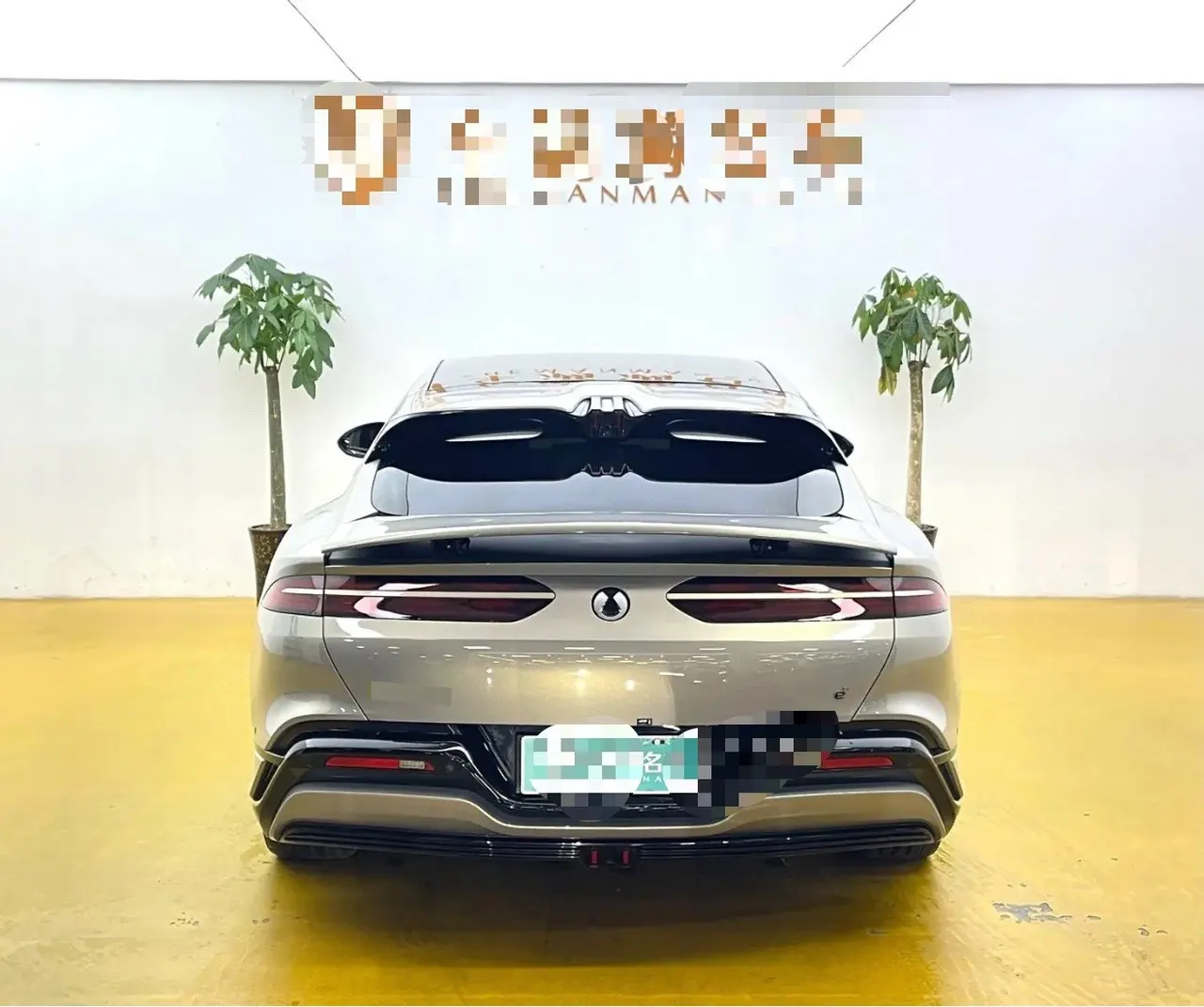 Denza 2024 Denza Z9GT 630 Four-wheel Drive Pro Edition Automatic Gear 8